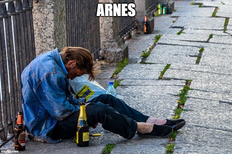 arnes.jpg