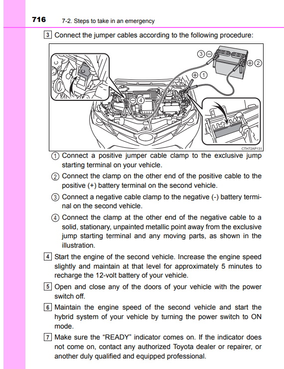 Auris2.jpg