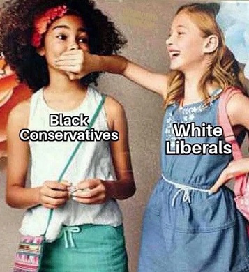 BlackConsVSwhiteLibsJPG.jpg