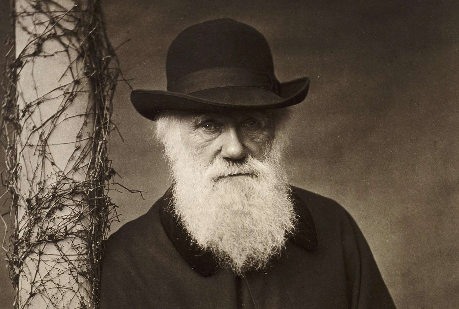 Charles-Darwin.jpg