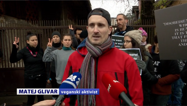 matej glivar.png