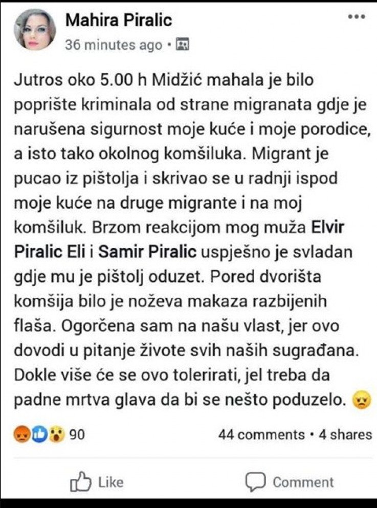 Migranti-Mahira-Piralić.jpg