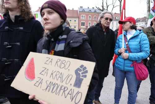 nakljucni protestnik.png