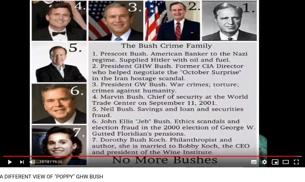 NoMoreBushes.jpg