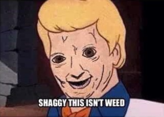 Shaggy this isn't weed.jpg