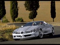 61235-SLR-2.jpg