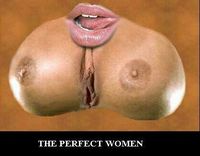 105553-perfect_woman_1.jpg