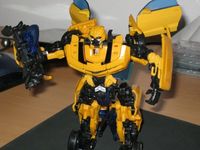 207823-bumblebee_2.jpg