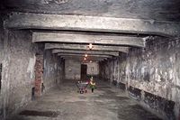 1310191-GasChamber02.jpg