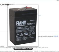 1683875-fiamm.jpg