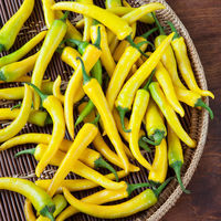 2581294-golden-cayenne-pepper.jpg