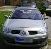 313590-Megane1.jpg