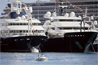 505996-yacht.yachts.jpg