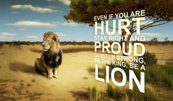 HD-wallpaper-be-strong-hurt-desert-strong-words-lion-feelings.jpg