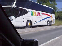 1194276-bus.jpg